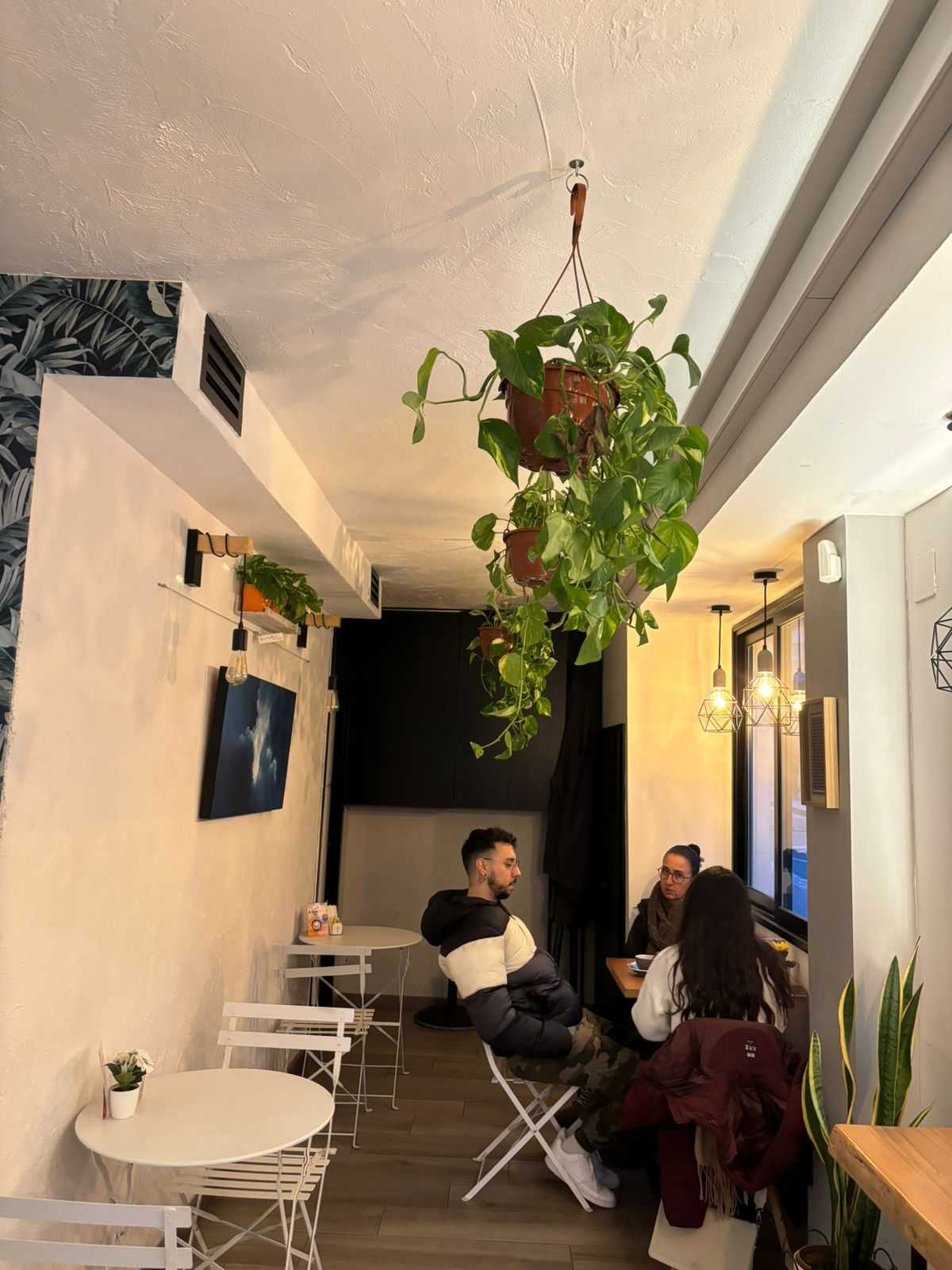 Excelente cafetería en Sant Gervasi (Barcelona)