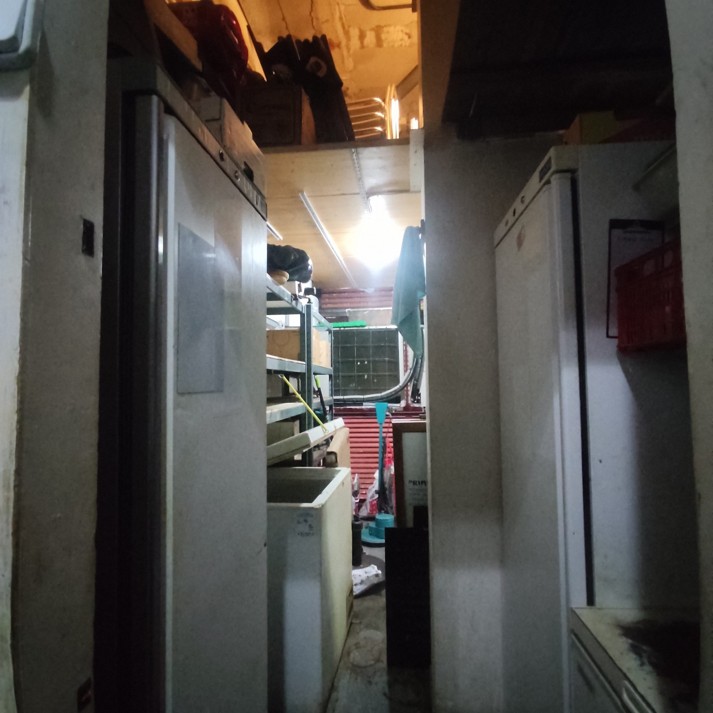 RESTAURANTE EN VENTA CON LICENCIA C3 MIXTA